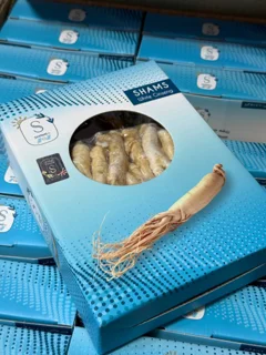 جینسینگ سفید شمس